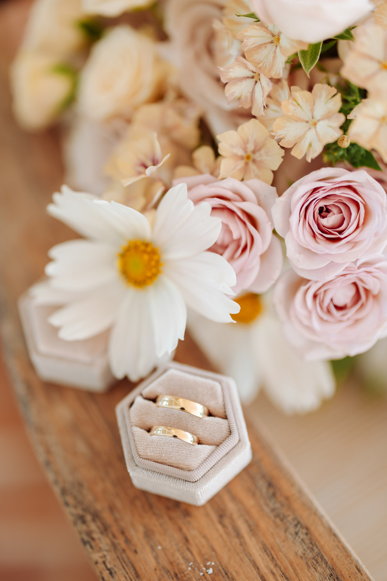 obrączki w welurowym pudełku